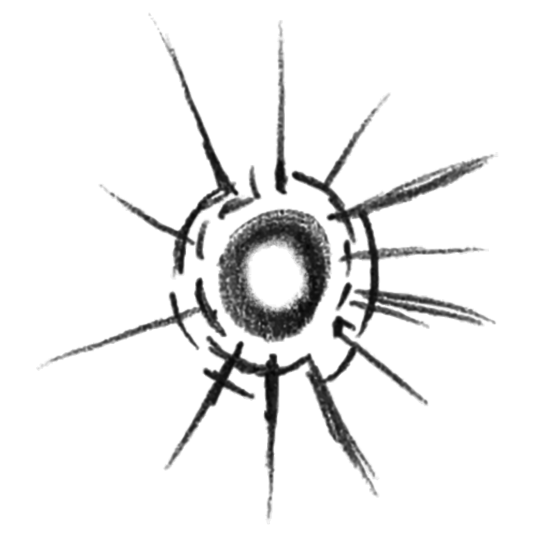 TECHNIGICA